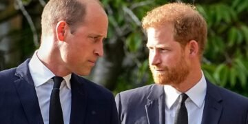 Prince William ‘protects’ future role as Prince Harry reconciliation pressure grows