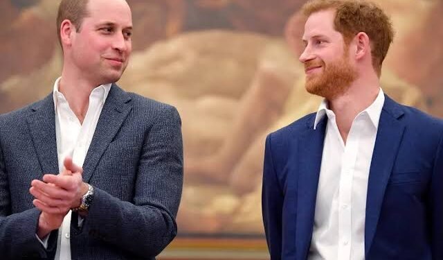 Prince William reportedly wary of Harry’s UK return amid fears of fresh royal drama