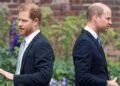 Prince Harry and Prince William ‘are communicating’ as hopes of a reunion grow