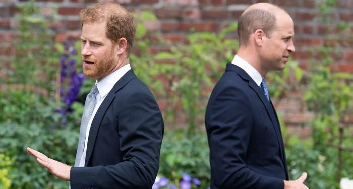 Prince Harry and Prince William ‘are communicating’ as hopes of a reunion grow
