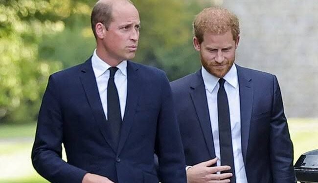 Prince Harry’s reunion with William faces one major obstacle