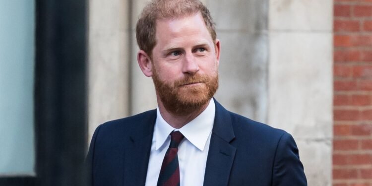Prince Harry takes charge of special mission despite warning: ‘no hiding’